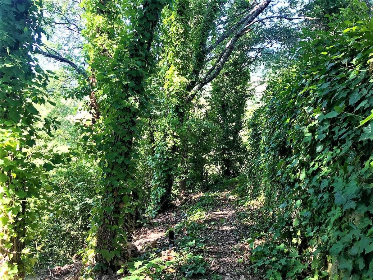 סנספולקרו Danya Country Villa מראה חיצוני תמונה